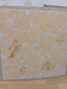 IMG_20211225_175545