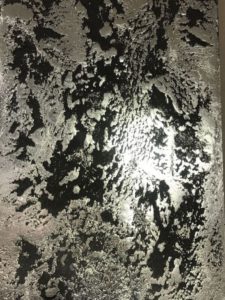 duna-susalnoe-zoloto